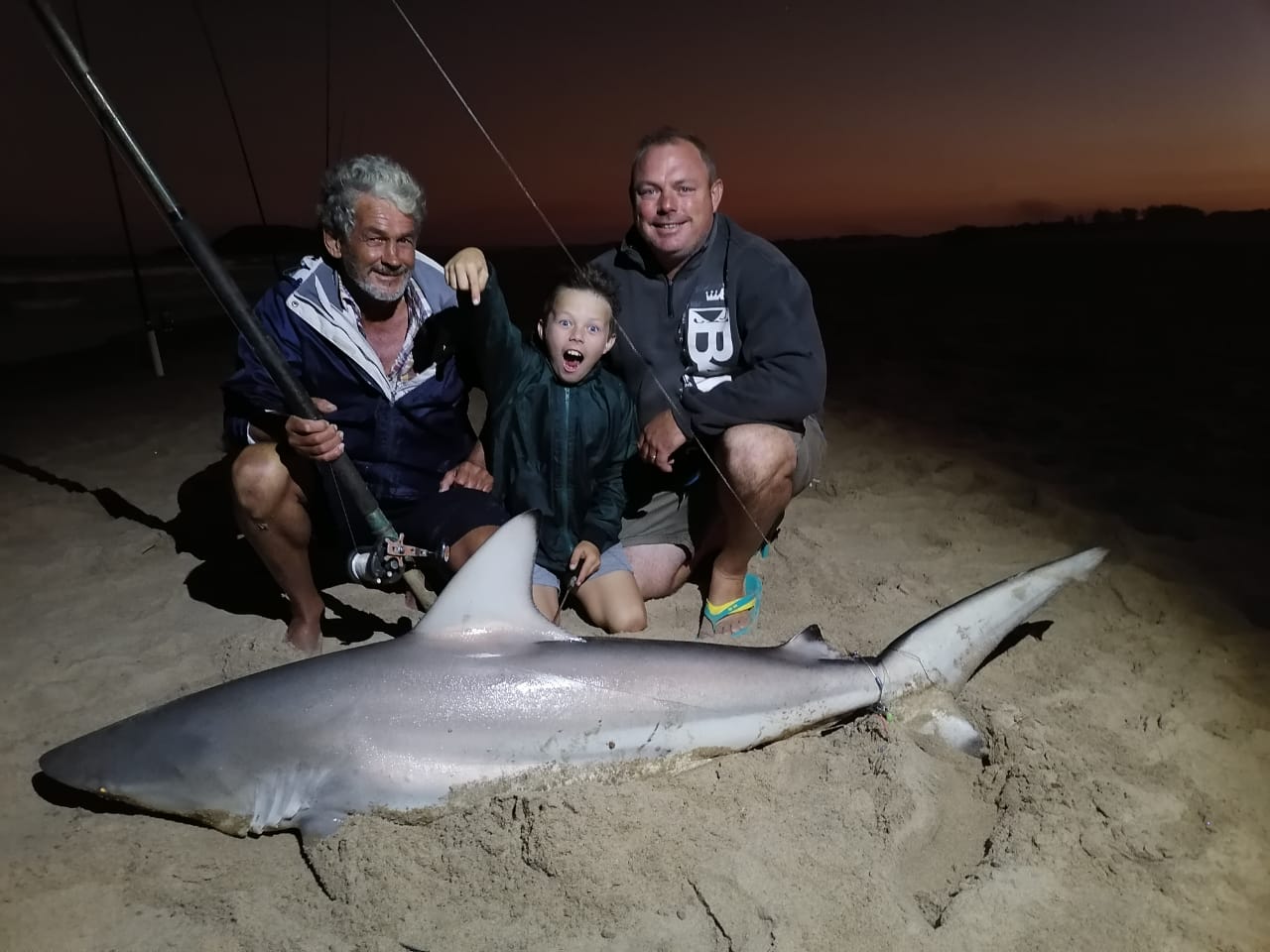 Sharks are regularly caught from the beach at St. Lucia, Natal North coast KZN South Africa.
